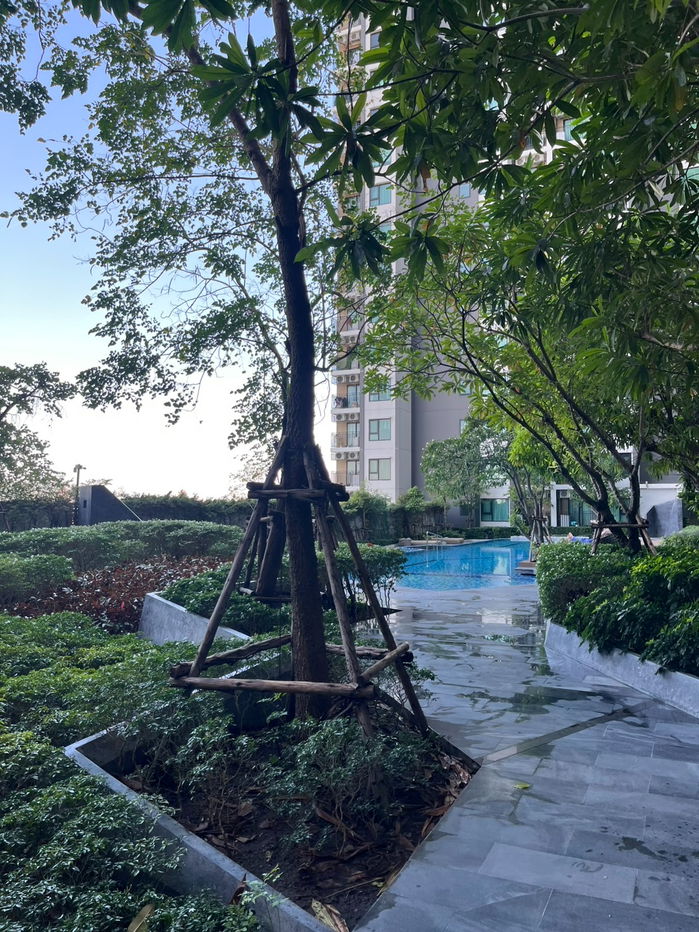 รูป 🟢ขายห้องสวย ราคาดี!! พร้อมอยู่!! 🟢เคนซิงตัน สุขุมวิท - เทพารักษ์ ติด BTS ทิพวัล, BTS สำโรง สอบถาม📱ADD LINE @572aurac แอดมินตอบไว✨ - รูปที่ 13/17