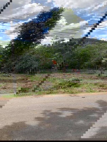 รูป ขายที่ดินเปล่า เนื้อที่ 17ไร่ 64 ตรว. ต.ดอนทอง อ.เมืองพิษณุโลก จ.พิษณุโลก - รูปที่ 4/9