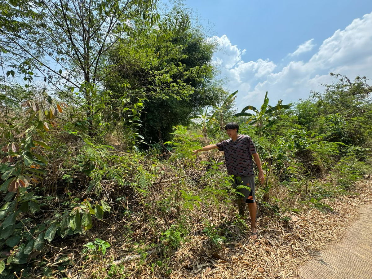 รูป **ให้เช่าที่ดิน 2 งาน 56 ตรว. ติดถนนทางหลวง ต.สีวิเชียร อ.น้ำยืน จ.อุบลราชธานี 5,000/ด.** - รูปที่ 7/12