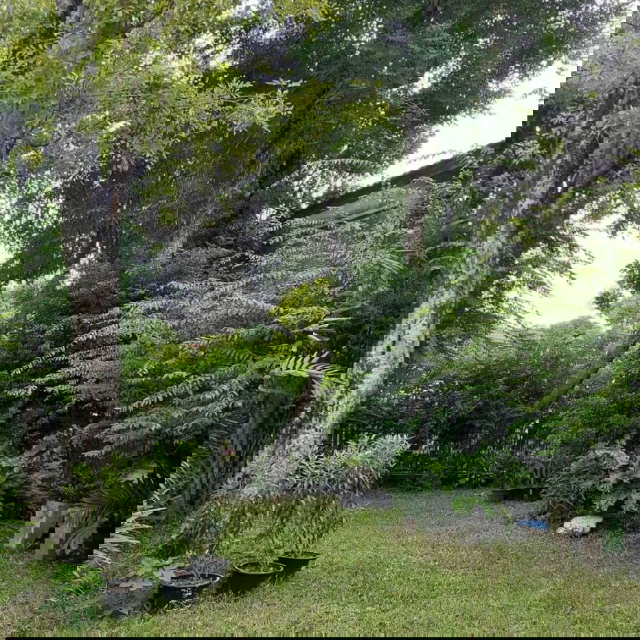 รูป 🟢For Rent🟢สัมมากร รามคำแหง 112 ห้องสวย เฟอร์ครบ!📱ADD LINE @nathong97 (ตอบ ⚡ 24 Hr)AV107 - รูปที่ 8/13