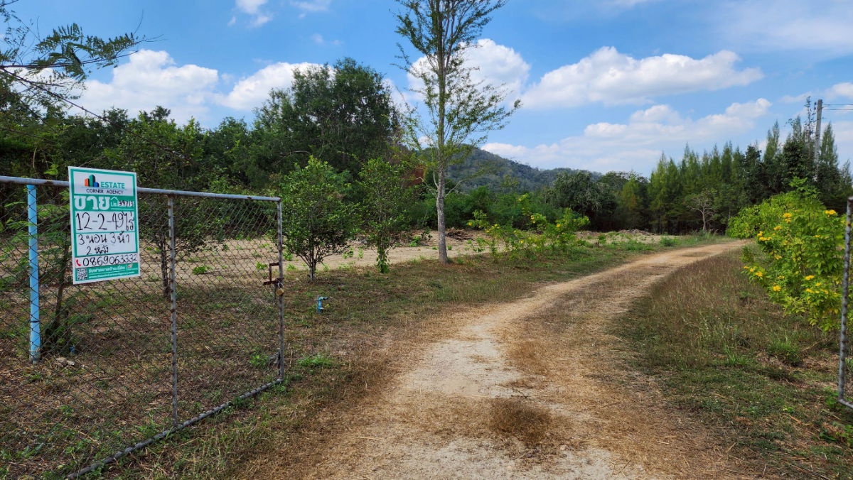 picture Land for sale in Kaeng Krachan with buildings. Total area 12-2-49 rai, with road frontage. Front width 50 meters, depth 440 meters. - 3/8