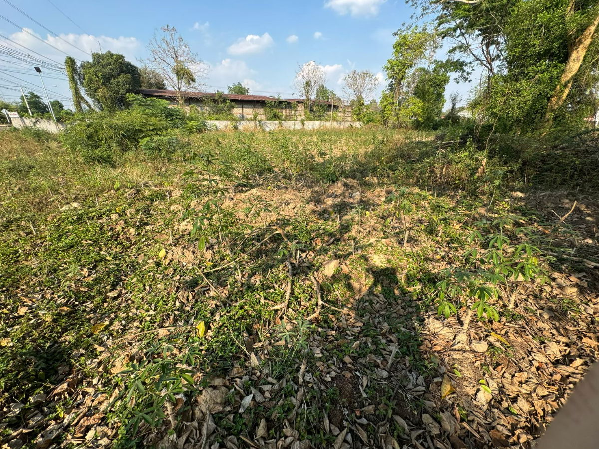 รูป **ให้เช่าที่ดิน 5 ไร่ - งาน 68 ตรว. ติดทางสาธารณประโยชน์ ต.ซำ อ.เมืองศรีสะเกษ จ.ศรีสะเกษ 20,000/ด.** - รูปที่ 5/8