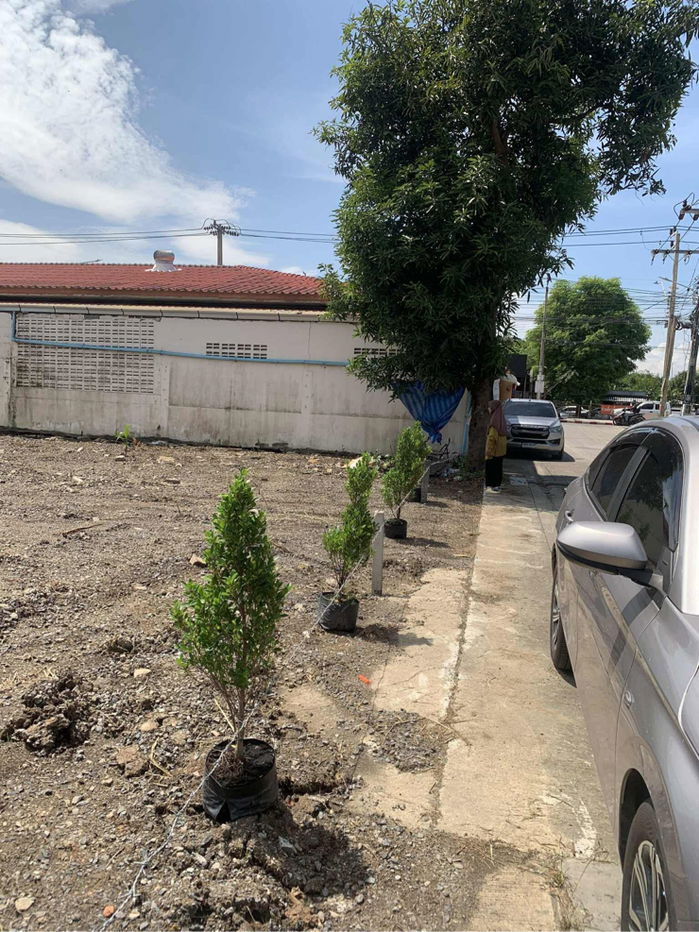 รูป ขายที่ดิน หทัยราษฎร์50 ที่ดินสวย ทำเลดี ใกล้ทางด่วนจตุโชติ - รูปที่ 8/9