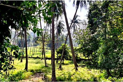 Land for sale Ko Samui Surat Thani : [920121079-1] Peaceful flat land, located in Ang Thong , Koh Samui