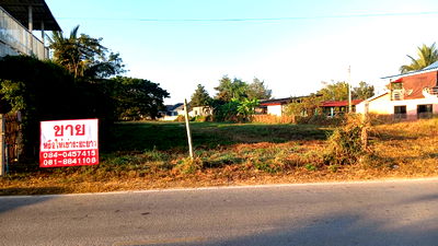 ที่ดิน เมืองลำพูน ลำพูน : 🌟 ขาย ที่ดินทำเลทอง! เมืองลำพูน ติดถนน ใกล้แหล่งชุมชน  🌟 [เจ้าของขายเอง] 