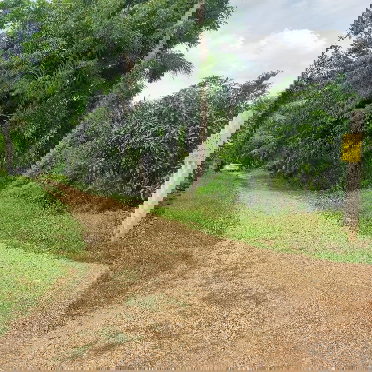 รูป ขายที่ดินพร้อมสวนผลไม้ ตำบลตลาดจินดา จังหวัดนครปฐม - รูปที่ 2/3