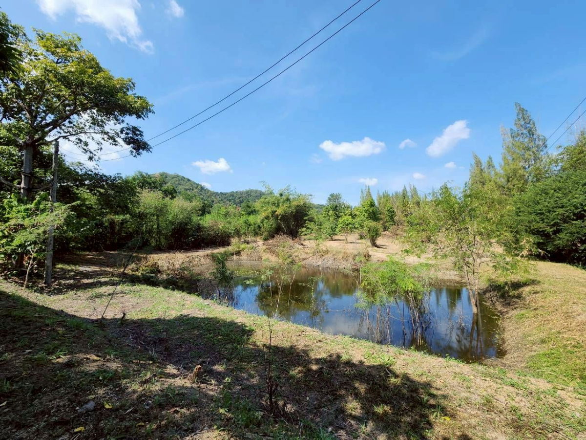 picture Land for sale in Kaeng Krachan with buildings. Total area 12-2-49 rai, with road frontage. Front width 50 meters, depth 440 meters. - 4/8