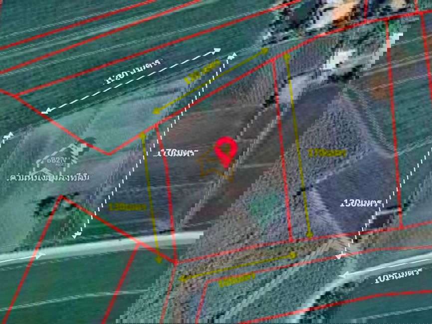 รูป ขาย ที่ดิน 10 ไร่ ต.บ้านไร่ อ.บางกระทุ่ม จ.พิษณุโลก - รูปที่ 7/7