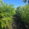 listing thumbnail image 4