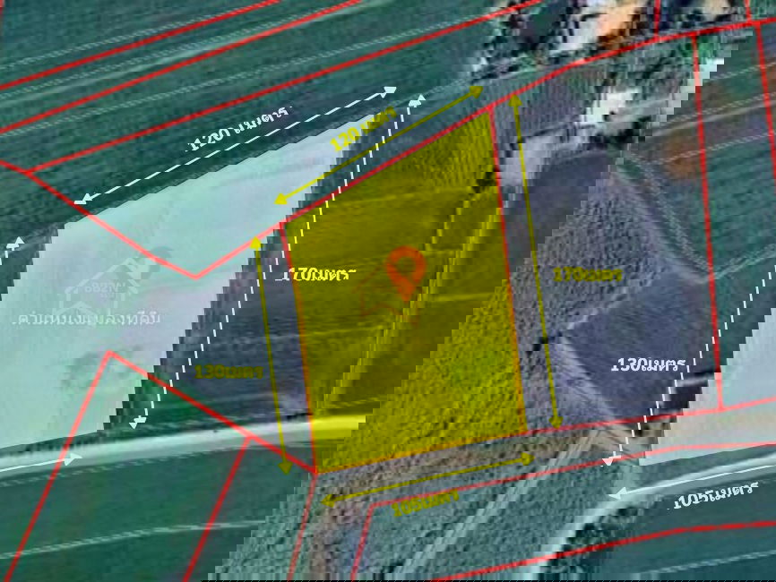รูป ขาย ที่ดิน 10 ไร่ ต.บ้านไร่ อ.บางกระทุ่ม จ.พิษณุโลก - รูปที่ 6/7
