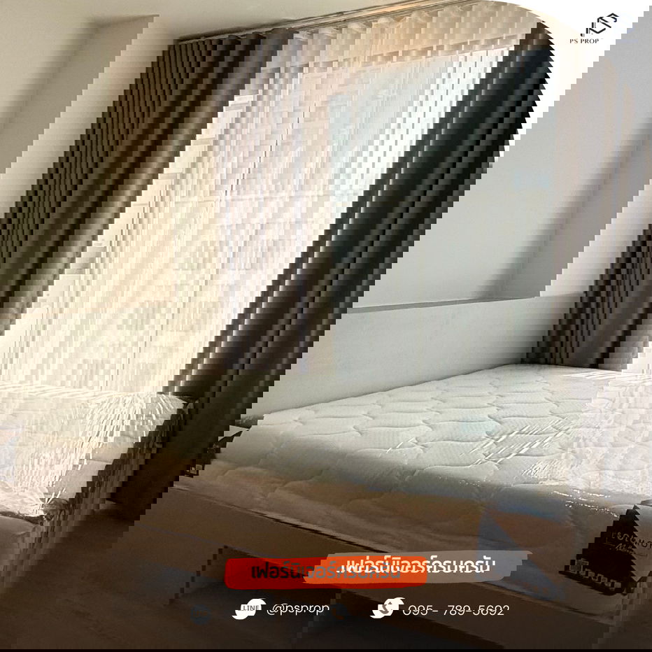 รูป 📢𝗞𝗮𝘃𝗲 𝗖𝗼𝗰𝗼 𝗕𝗮𝗻𝗴𝘀𝗮𝗲𝗻 #CR0177 - รูปที่ 2/17