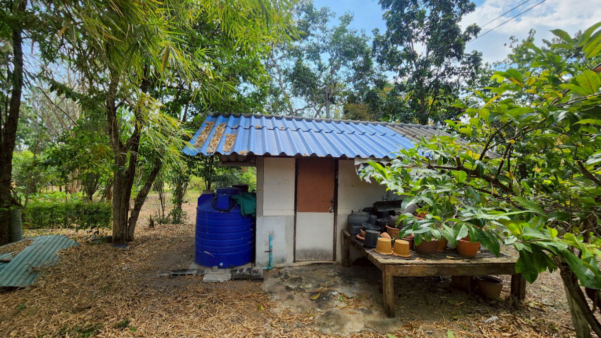 picture Land for sale in Kaeng Krachan with buildings. Total area 12-2-49 rai, with road frontage. Front width 50 meters, depth 440 meters. - 7/8