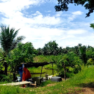 Land for sale Christian University  : Land for sale with fruit orchard, Talat Chinda Subdistrict, Nakhon Pathom Province.