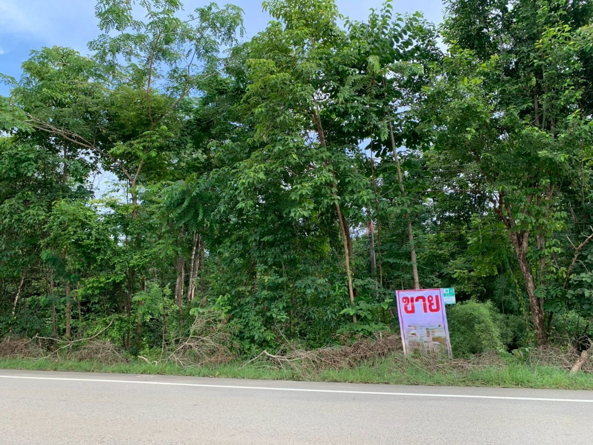 picture Land for sale 12 rai 1 ngan 37 sq.wah, directly fronting a paved road. Located in Bong Tan , Doi Tao, Chiang Mai. Land area: 12-1-37 rai - 3/6