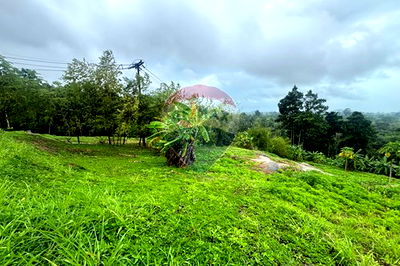 ที่ดิน เกาะสมุย สุราษฎร์ธานี : [920121052-80] Land Hilltop Lipa Noi