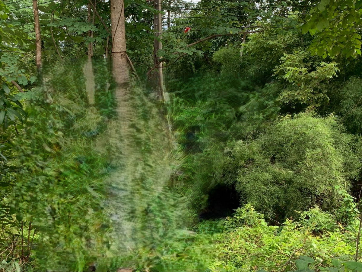 picture Land for sale 12 rai 1 ngan 37 sq.wah, directly fronting a paved road. Located in Bong Tan , Doi Tao, Chiang Mai. Land area: 12-1-37 rai - 2/6