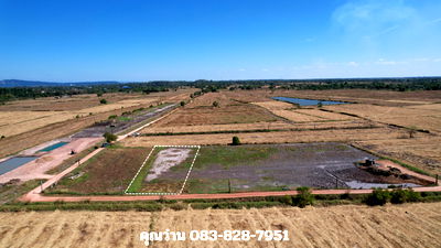 ที่ดิน ปากพลี นครนายก : ขายที่ดิน 1 ไร่ หลุดจอง มีโฉนด อ.ปากพลี ขายพร้อมโอน 420,000 บาท