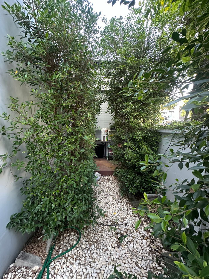 รูป ปล่อยเช่าทาวน์โฮมแปลงมุมมีสวนข้างบ้าน - รูปที่ 8/9