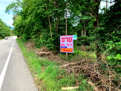 Land for sale Doi Tao Chiang Mai : Land for sale 12 rai 1 ngan 37 sq.wah, directly fronting a paved road. Located in Bong Tan , Doi Tao, Chiang Mai.  Land area: 12-1-37 rai