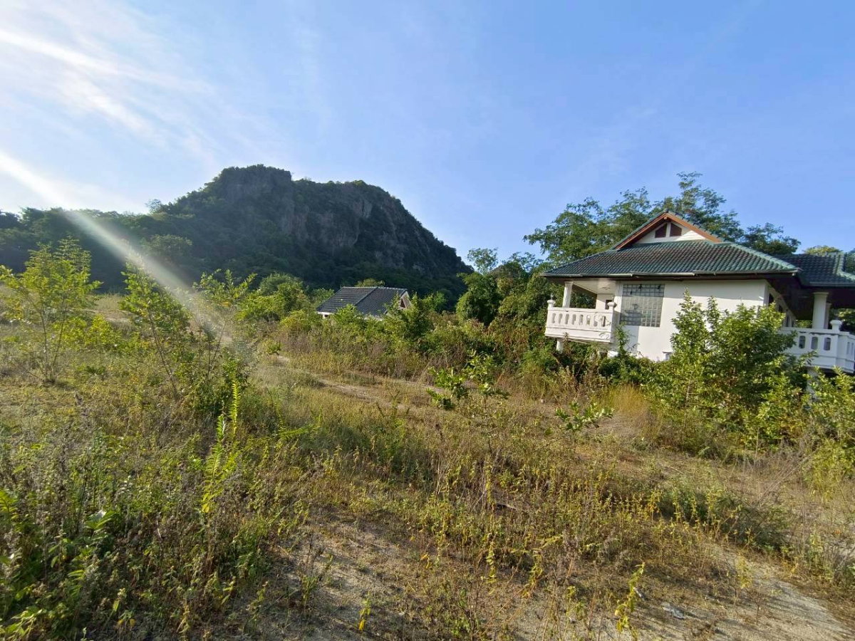 รูป ขายที่ดินเปล่า ชะอำ 4-1-95 ไร่ วิวภูเขานางพันธุรัต ใกล้หาดชะอำ 5 นาที ตรงข้าม ตม.เพชรบุรี เข้าออกจากถนนเพชรเกษม 300 ม. - รูปที่ 3/9