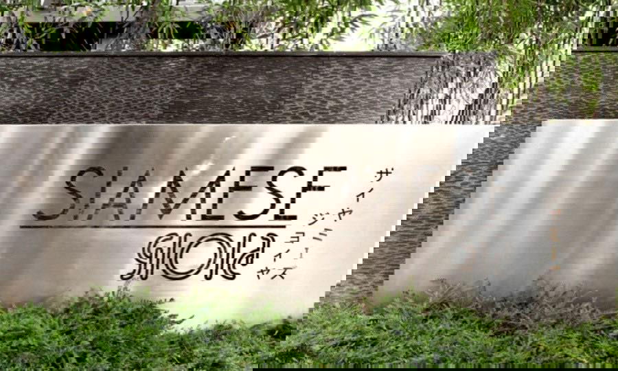 รูป #SC10834 📌 ให้เช่า | 🟦🟨ไซมิส จอยญ่า🟥🟩💬 𝑪𝒐𝒏𝒕𝒂𝒄𝒕 𝑳𝑰𝑵𝑬: @𝒔𝒆𝒄𝒓𝒆𝒕𝒑𝒓𝒐𝒑𝒆𝒓𝒕𝒚 🔥✨ - รูปที่ 20/20