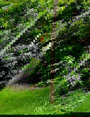 โฮมออฟฟิศ วิทยาลัยเซาธ์อีสท์บางกอก : ขายที่ดิน 400 ตร.ว ซอยสุขุมวิท64 พร้อมสิ่งปลูกสร้างเดิม ที่สวยแปลงสี่เหลี่ยม ไฟฟ้า ประปาพร้อมใช้  ใก้ลBTSปุณณวิถี ทางด่วน ทรูดิจิตอลพาร์ค ต่อรองได้ 