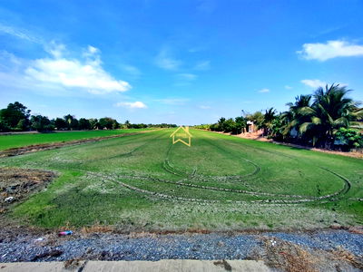 ที่ดิน วิทยาลัยเทคนิคปทุมธานี : ขาย ที่ดิน 21 ไร่78 ตารางวา อ.ไทรน้อย จ.นนทบุรี ราคาถูกกว่าราคาตลาด