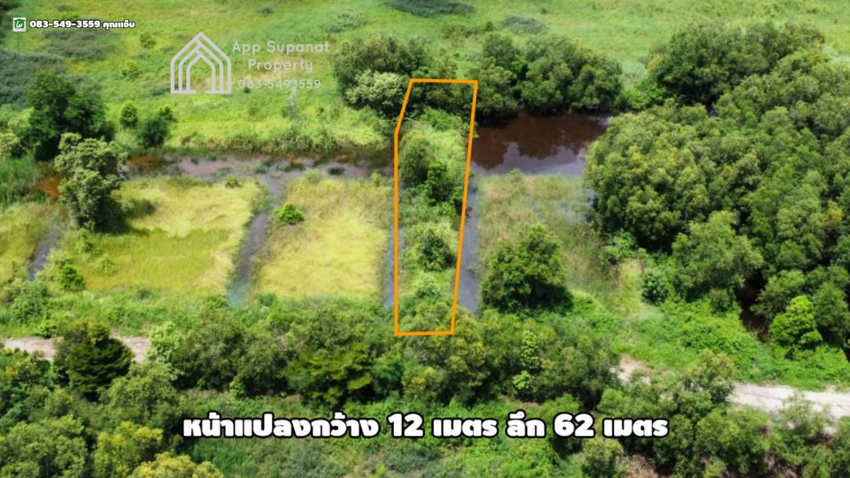 รูป ขายที่ดิน ใกล้ตลาดวังน้อย 200ตร.ว. ต.ลำตาเสา อ.วังน้อย จ.พระนครศรีอยุธยา - รูปที่ 6/11