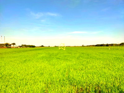 ที่ดิน วิทยาลัยเทคนิคนนทบุรี : ขาย ที่ดิน 22 ไร่ 3 งาน 92.8 ตารางวา อ.ไทรน้อย จ.นนทบุรี ราคาถูกกว่าตลาดมาก