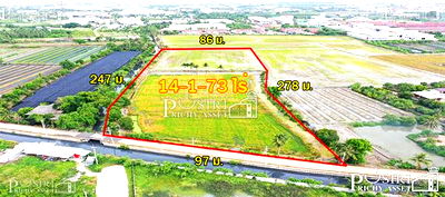 ที่ดิน สมุทรสาคร : ซื้อทำกำไรได้มากกว่า 100 % ++ กับที่ทรงสวย 14 ไร่เศษ หน้ากว้าง 97 ม. ใกล้ ถ. ตัดใหม่ กัลปพฤกษ์ – พุทธสาคร KK5104S