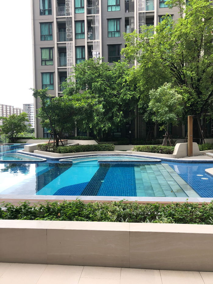 รูป ขายคอนโด พร้อมผู้เช่า Knightsbridge Phaholyothin - Interchange (ไนท์บริดจ์ พหลโยธิน-อินเตอร์เชนจ์) 24 Sq.m. - รูปที่ 14/15