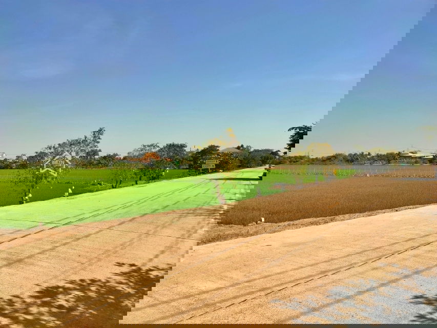 รูป ขาย ที่ดิน 22 ไร่ 3 งาน 92.8 ตารางวา อ.ไทรน้อย จ.นนทบุรี ราคาถูกกว่าตลาดมาก - รูปที่ 2/6