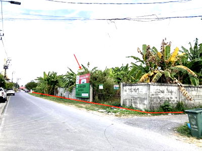 Land for sale Lotus's north ratchapruek : LAND for sale  Tha It Pak Kret Nonthaburi