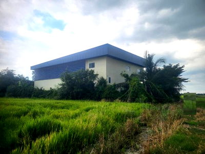 เช่าโรงงาน ปทุมธานี : ให้เช่าโกดัง พร้อมสำนักงาน พร้อมห้องพักคนงาน 4 ห้อง / ทำเล ลาดหลุมแก้ว ปทุมธานี / ซอยวัดบัวสุวรรณประดิษฐ์ ระแหง /รถใหญ่เข้าออกได้