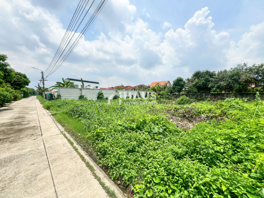 picture Land Soi Chimphli 28 / 100 Sq.wa #LRP2036 - 3/5