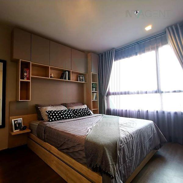 picture ð For Rent Condo IDEO SUKHUMVIT 93 Building B, Floor 7,1 bed room, Room size 31.00 sqm - 8/8