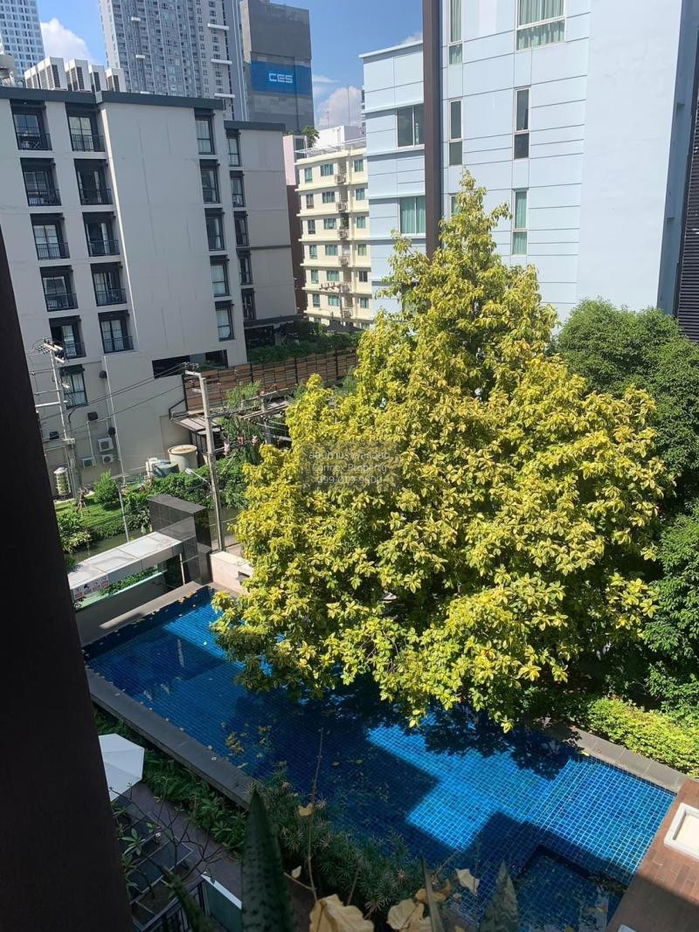 picture FOR RENT condo , The Next Sukhumvit 52 , BTS-On Nut , Bang Chak , Phra Khanong , Bangkok , CX-22835 ✅ Live chat with us ADD LINE @connexproperty ✅ - 8/8