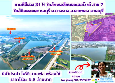 ที่ดิน พานทอง ชลบุรี : ขายที่สีม่วง  31  ไร่ ใกล้ถนนเลียบมอเตอร์เวย์ สาย 7 ใกล้นิคมอมตะ ชลบุรี  ต.บางนาง อ.พานทอง จ.ชลบุรี