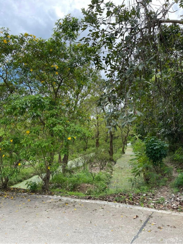 รูป ขายที่ดิน 5-2-75 ไร่ ซอย บางกร่าง 59/6 - รูปที่ 2/3