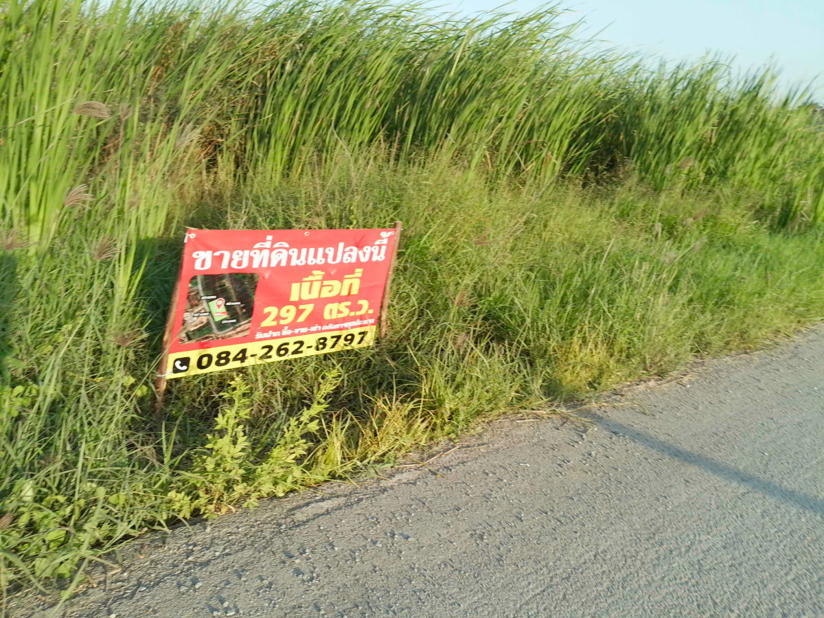 รูป ขายที่ดินเปล่า 297 ตร.ว.บางใหญ่ นนทบุรี ใกล้ตลาดล่ำซำ ตลาดนัดลุงออม เหมาะลงทุนสร้างหอพัก / อพาร์ตเมนต์ / Home Office / บ้านพร้อมออฟฟิศ - รูปที่ 1/15