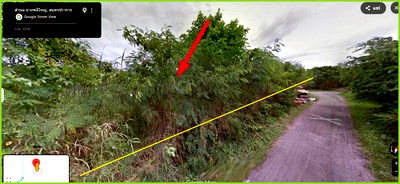 ที่ดิน บางพลี สมุทรปราการ : ที่ดินทำเลทอง 288 ตรว.ซอยมหาชัย บางพลี ใกล้เมกะบางนา เหมาะสร้างบ้าน สนง. โกดังสินค้า