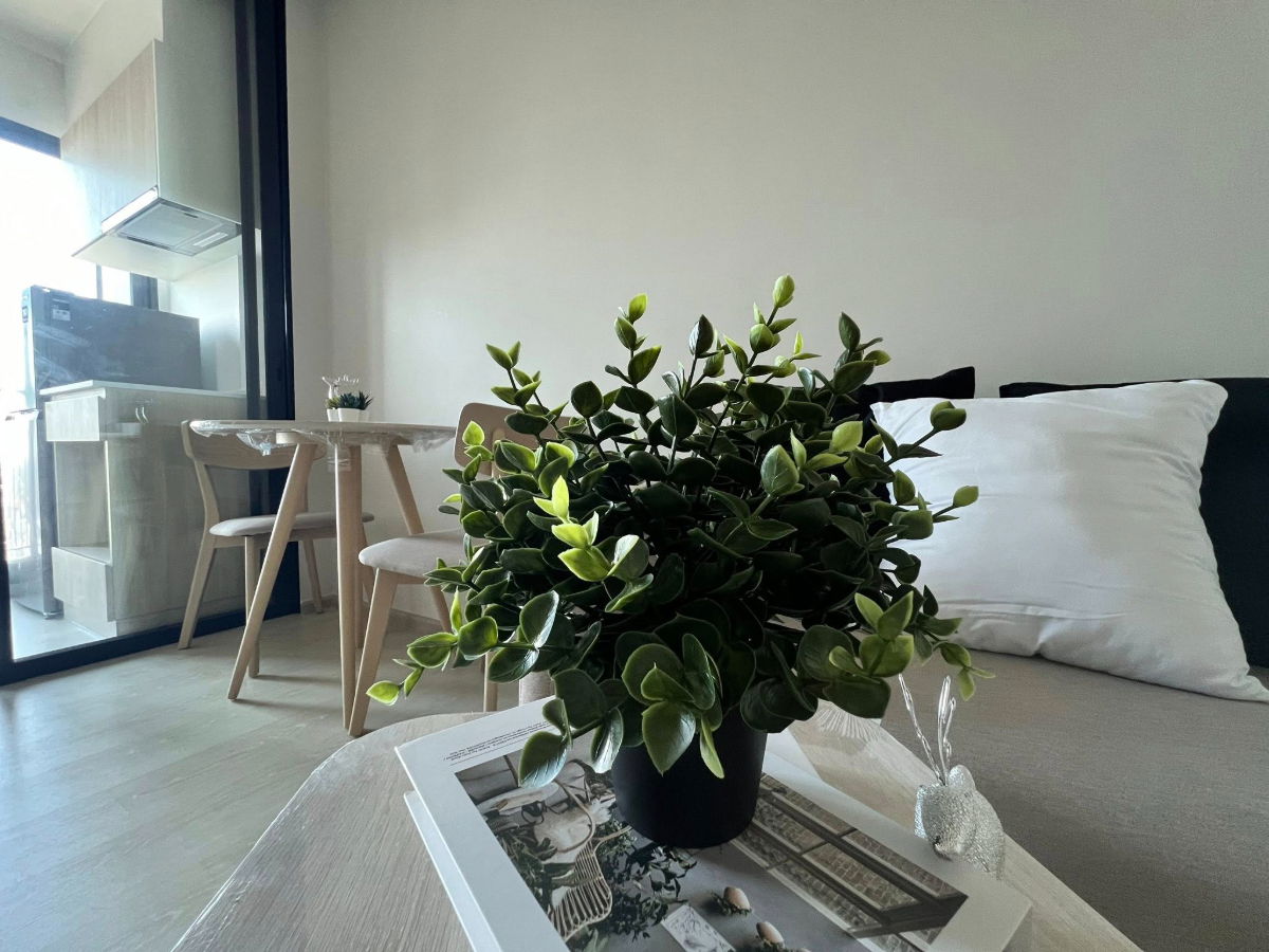 รูป ให้เช่า คอนโด โนเบิล นิว เมกา พลัส บางนา เมกาบางนา MEGA Bangna 190 เมตร - รูปที่ 17/30