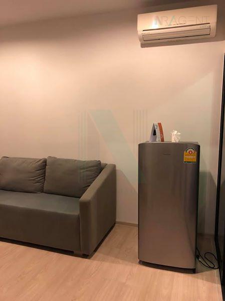 รูป ให้เช่า เดอะ แกลเลอรี่ แบริ่ง 1 ห้องนอน 1 ห้องน้ำ ราคา 11000 บาท BTS แบริ่ง - รูปที่ 1/8