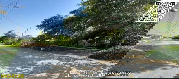 รูป ซื้อทำกำไร + สร้างมูลค่าเพิ่มได้มากกว่าเท่าตัว กับที่ 6 ไร่เศษ ใกล้โครงการถนนตัดใหม่กัลปพฤกษ์ – พุทธสาคร - KK5415S - รูปที่ 6/6