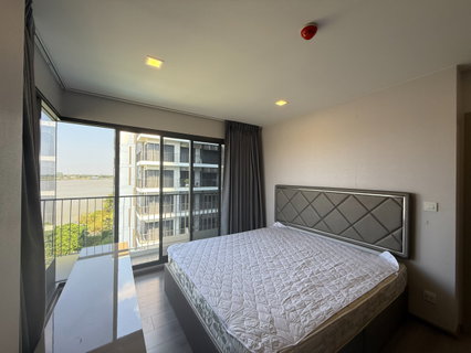 รูปภาพ The Politan Breeze The Politan Breeze
