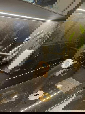 รูป HR3151ให้เช่าทาวน์โฮมหรู 𝟑.𝟓 ชั้น 𝐓𝐡𝐞 𝐄𝐢𝐠𝐡𝐭 (จตุจักร-รัชดา) | ความเป็นส่วนตัวระดับ 𝐏𝐫𝐢𝐯𝐚𝐭𝐲 - รูปที่ 19/23