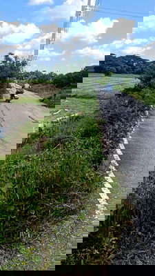 ที่ดิน เฉลิมพระเกียรติ นครศรีธรรมราช : ขายที่ดิน 19 ไร่ 2 งาน 35 ตร.ว. ต.ดอนตรอ อ.เฉลิมพระเกียรติ จ.นครศรีธรรมราช