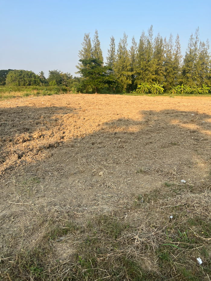 รูป ที่ดินใกล้ทะเล หาดเพชร เพชรบุรี 1 ไร่ ราคาดี 1.2 ล้านบาท  - รูปที่ 2/7