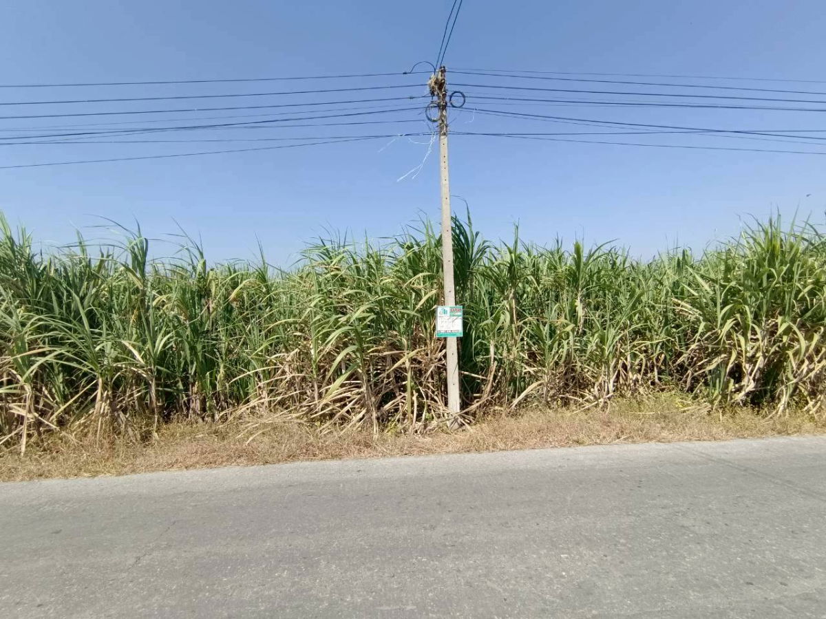 รูป ขาย ที่ดินแปลงใหญ่ ติดถนนลาดยาง ต.วังขนาย อ.ท่าม่วง จ.กาญจนบุรี - รูปที่ 9/14