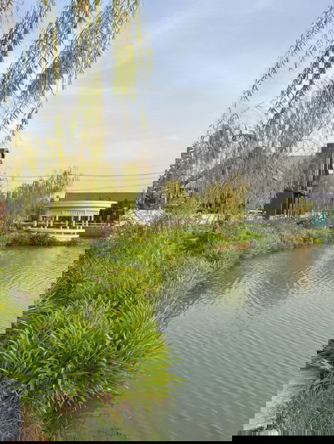 picture Beautiful 2-storey townhouse at City Sense Ratchaphruek 345 Peaceful and private, short walk to the swimming pool and clubhouse. Fully furnished - 5/17